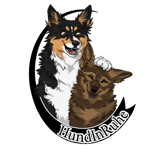 Hundeschule – HundInRuhe